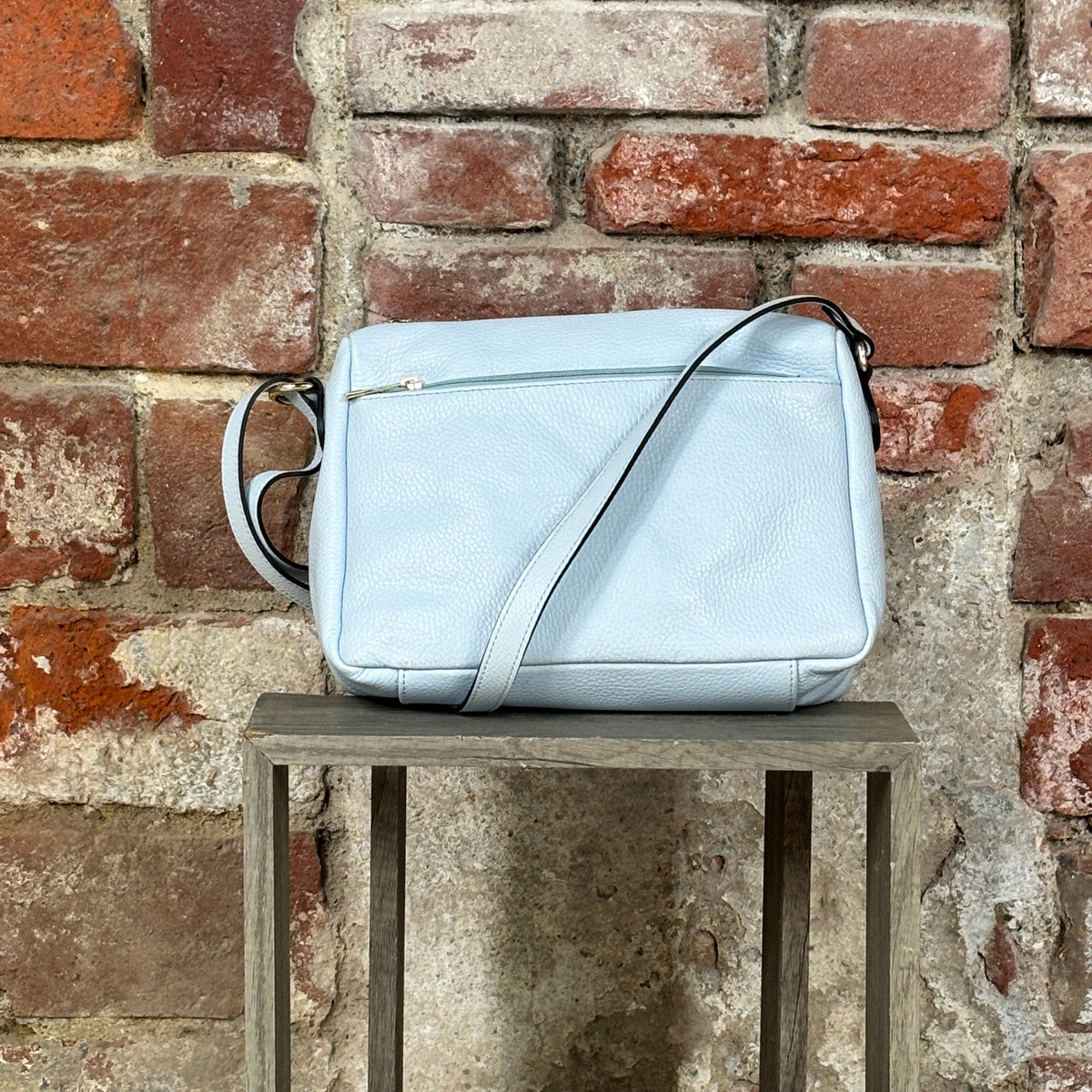 Borsa classica Polvere