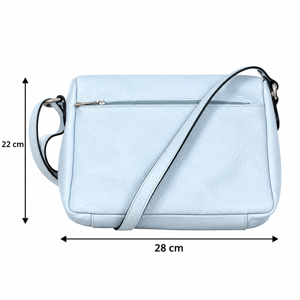 Borsa classica Polvere