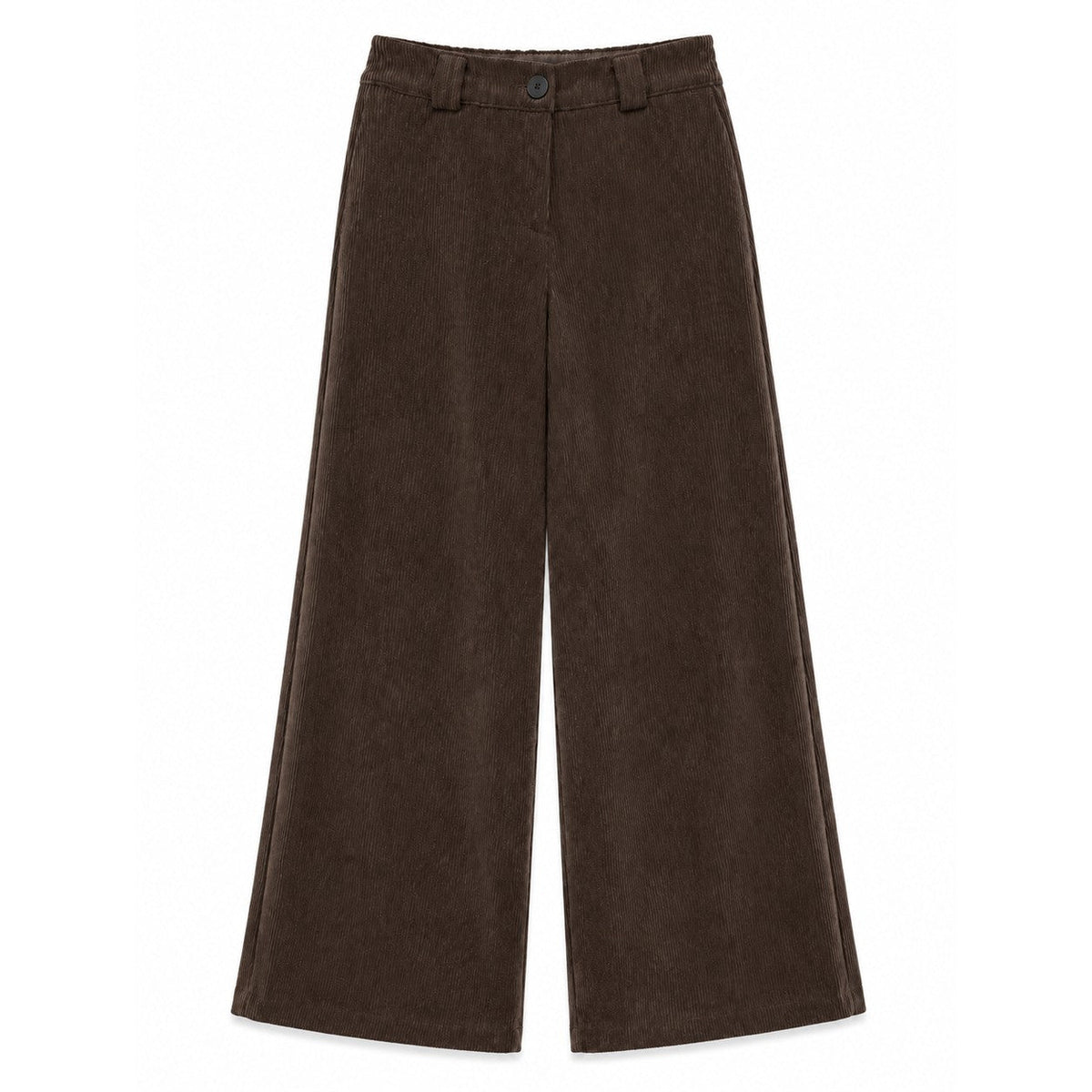 Pantaloni velluto Marrone